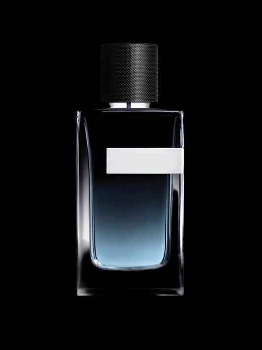 inspired by “Ysl”